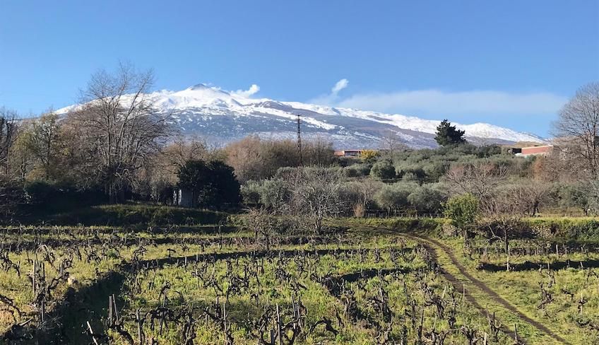 Ätna Wein Tour - 