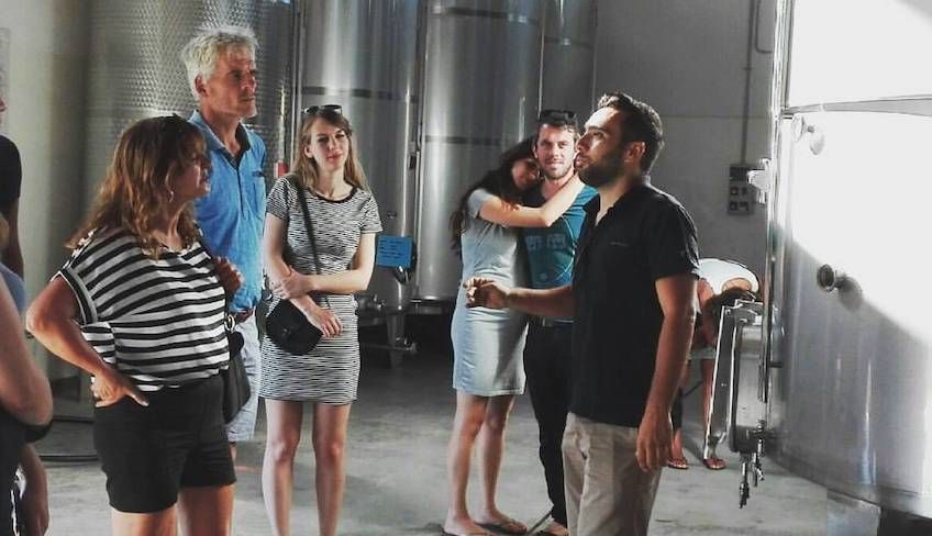 Wein Tour Trapani - 