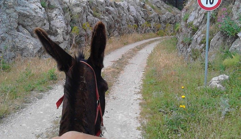 Trekking Sizilien - 