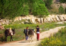 Trekking Sizilien