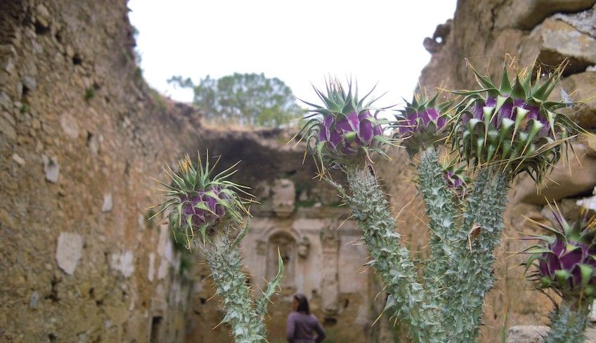 Trekking in Sizilien - 