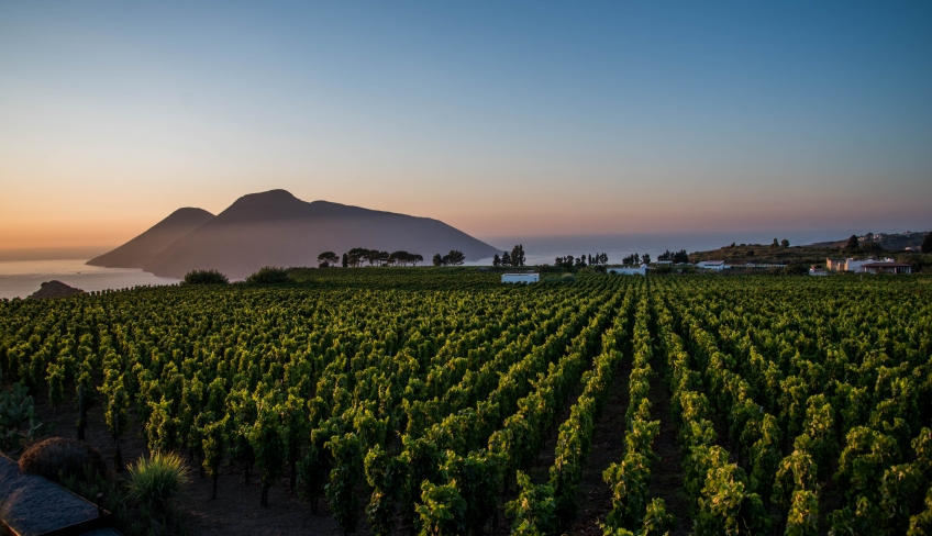 Lipari vista vigne