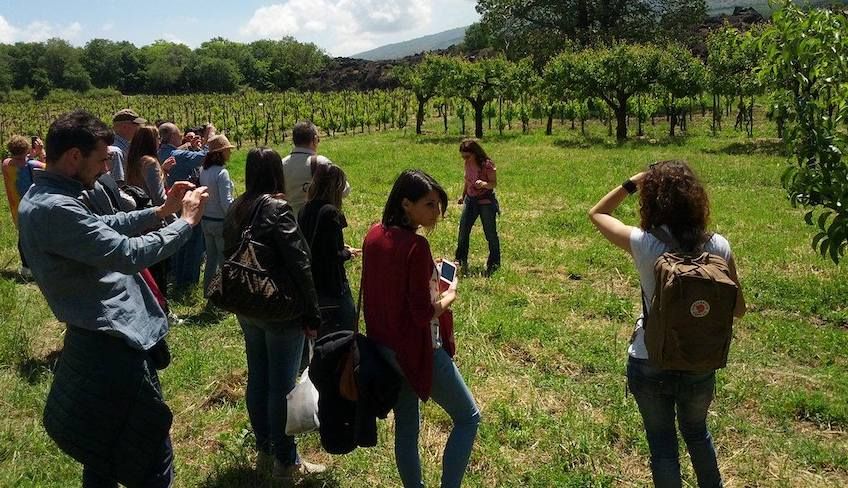 Ätna Wein Tour - 