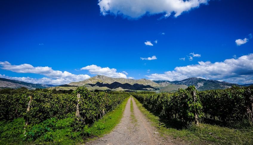 Wein Tour Ätna - 