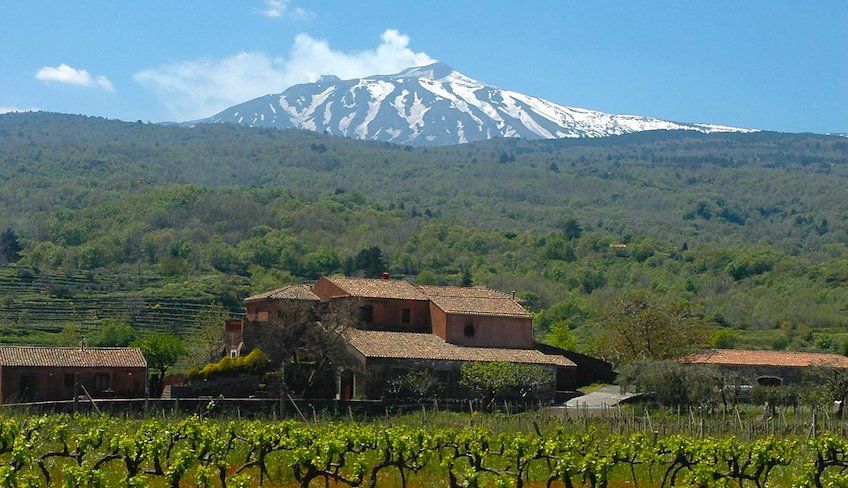 Wein Tour Ätna - 