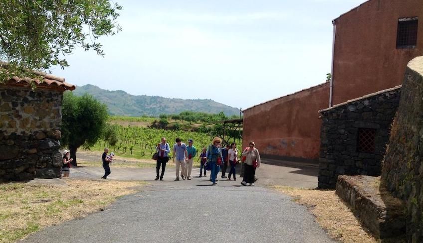 Wein Tour Ätna - 