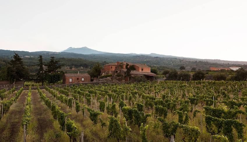 Wein Tour Ätna - 