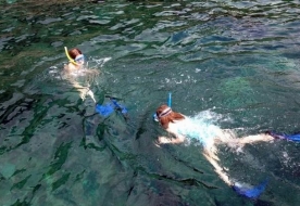 Schnorcheln Sizilien das Meer Siziliens Tauchgänge unter Wasser Taormina