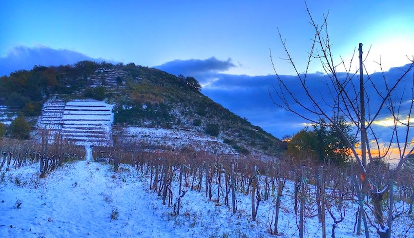 bester sizilianischer Wein - Rundgang im Weinkeller