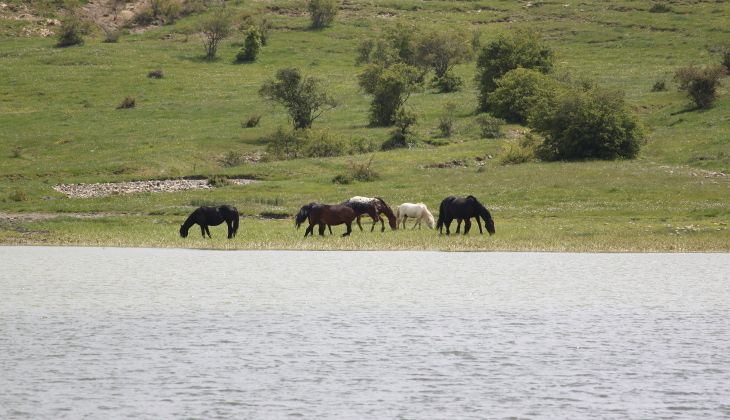 Besuche Messina - Berge in Sizilien