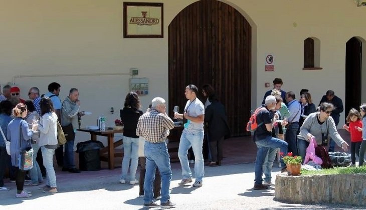 sizilianische Weine - Besuch sizilianischer Weinkeller