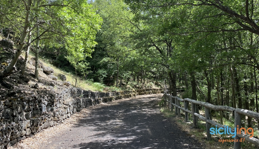 etna bosco in e-mtb