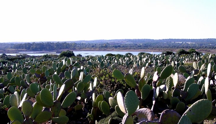 Naturreservat - Outdoor-Erfahrungen