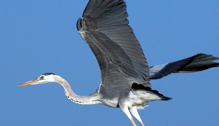 Naturreservat - Outdoor-Erfahrungen