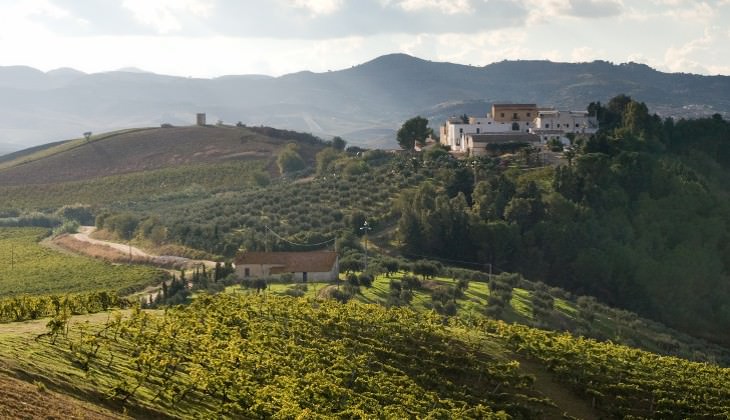 Weintourismus Sizilien - berühmter sizilianischer Wein