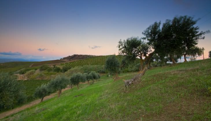 Weintourismus Sizilien - berühmter sizilianischer Wein