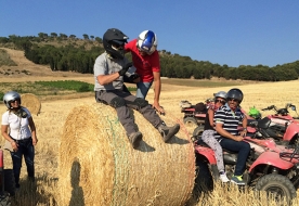 Sport & Abenetuer Urlaub in Sizilien - Besuche Segesta