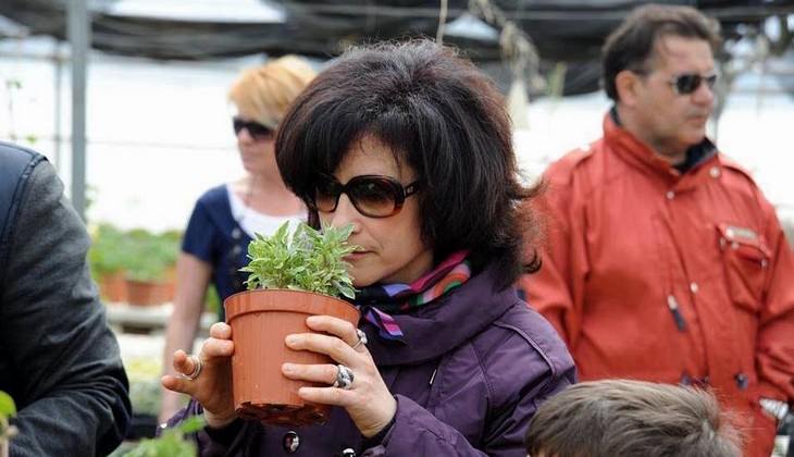 Sinneserlebnis - Aromatische Gräser in der Küche