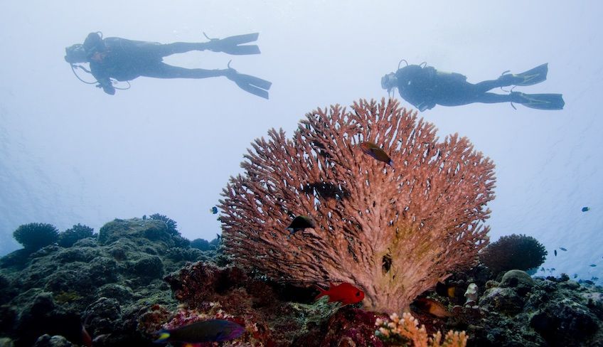 Marettimo Diving Center - Sommer Aktivurlaub