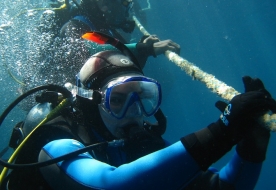 Open Water Diver - Divemaster 