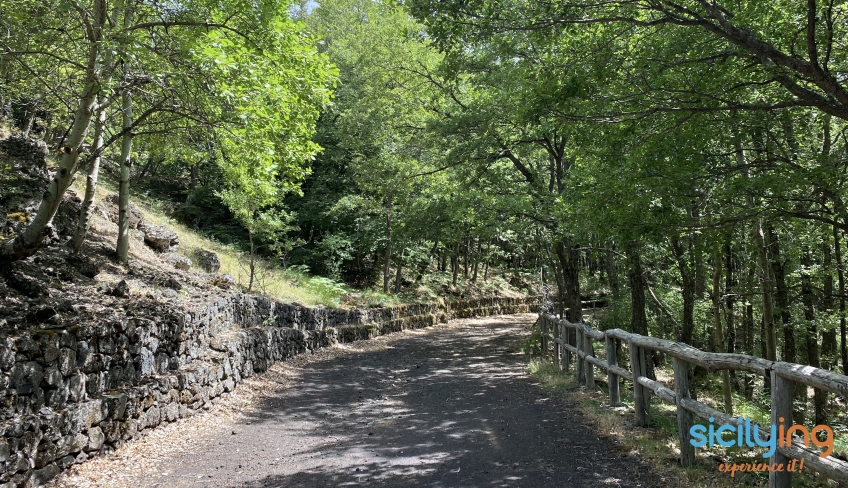 tour etna mtb