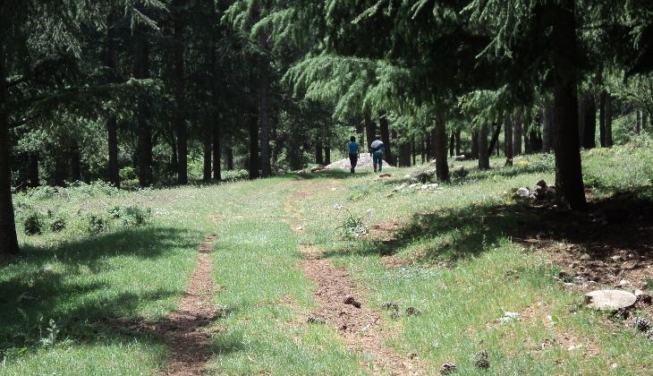 Park der Madonien - Trekking Madonien