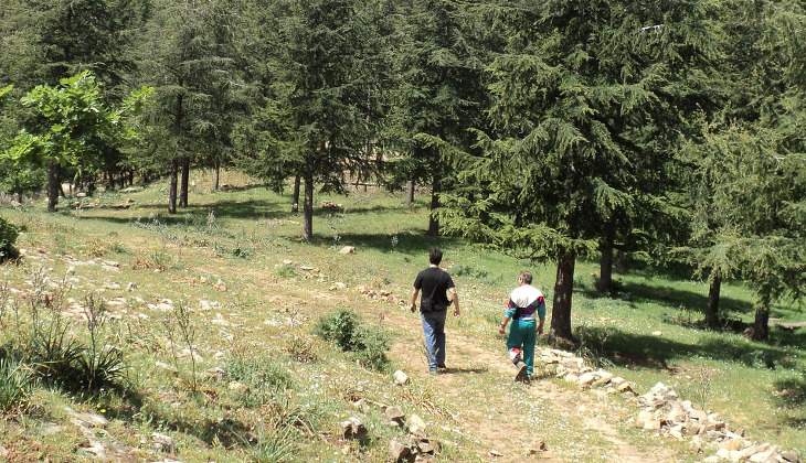 Park der Madonien - Trekking Madonien