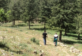 Park der Madonien - Trekking Madonien 