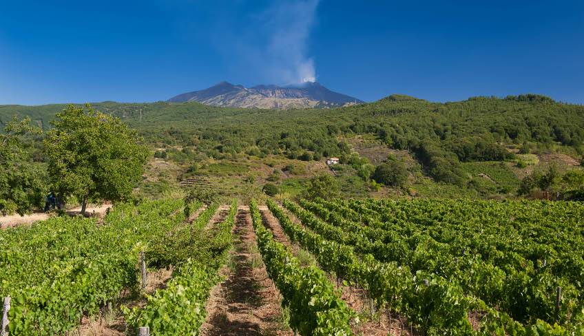 Weinverkostung Ätna Ätna Weintour Ätna Weinverkostung