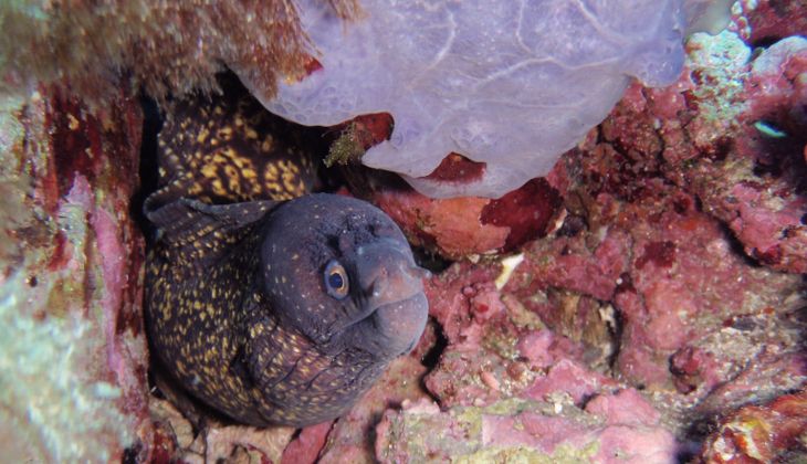 Syrakus Diving - Dinge, die man in Syrakus tun sollte