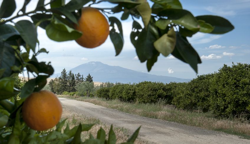 Hochzeitslocation Sizilien - Empfang Catania und Provinz